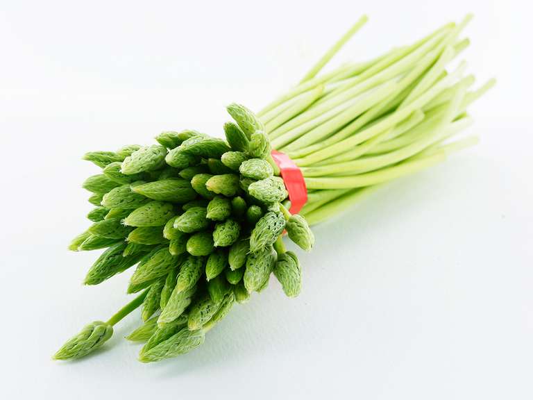 Une botte d’asperges sauvages