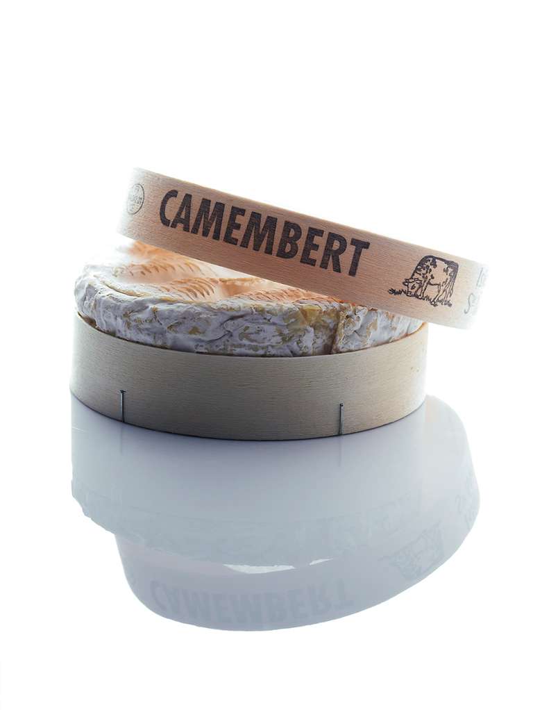 camembert